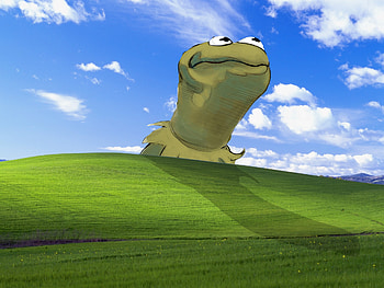 This is my new favorite ... Bliss Windows XP Kermit The Frog Microsoft HD wallpaper