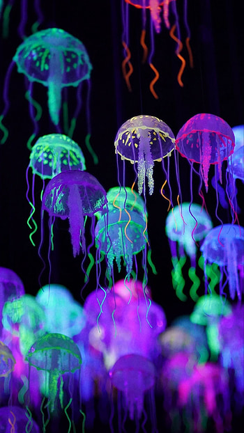 Neon, Jellyfish HD phone wallpaper