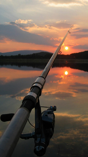 Fishing rod, Fishing HD phone wallpaper