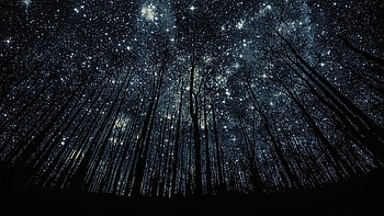 Night Sky Full High Resolution px 607.94 KB HD wallpaper