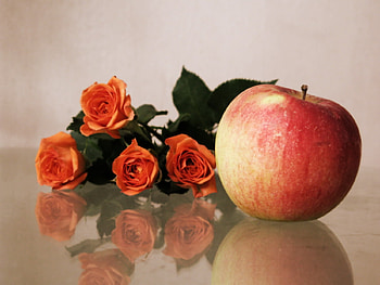 Flowers, Roses, Apple, Reflection, Bouquet HD wallpaper