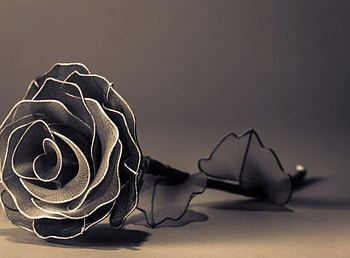Creative rose, rose, style, creative, art HD wallpaper