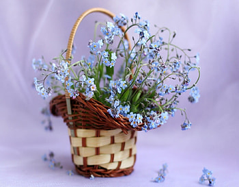 A little tenderness, blue, softness, basket, tenderness, petals, soft, flowers, beauty HD wallpaper