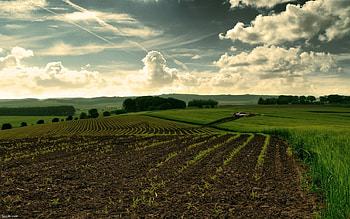 Landscape, Nature, Grass, Fields, Sky HD wallpaper