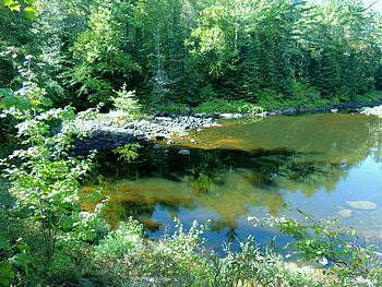 Summer By The River, Green, graphy, Summer, Forest, Nature, Shadows, Sunshine, River HD wallpaper