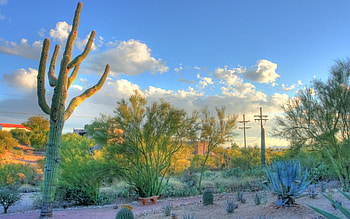 ... Desert Arizona Desert, Arizona, Cactus, Tucson . HD wallpaper