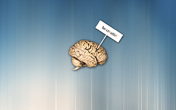 Funny HD wallpaper