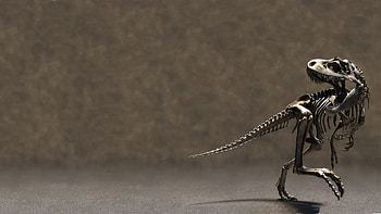 Skeleton relics, Animated artworks, Mobile , Resurrected dinosaurs HD wallpaper