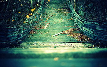 Bridge, Man, made HD wallpaper