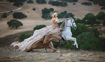 Riding the Wind, horse, lovely, field, graphy, Model, dom HD wallpaper