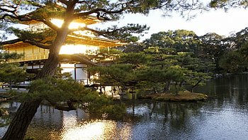 Kinkaku-ji, Japan HD wallpaper