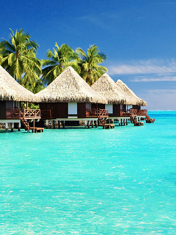 summer backgrounds, -perfect scenes, Beautiful nature, Serenity captured HD phone wallpaper