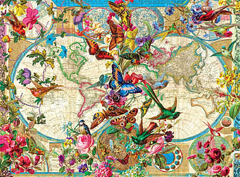 :), painting, art, bird, pictura, flower, harta, pasari, map, butterfly HD wallpaper