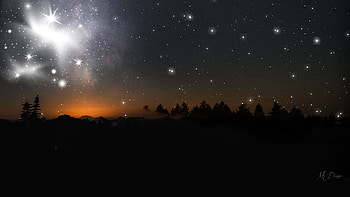 Night Beauty, light, trees, sky, stars, mountains, forest, Firefox Persona theme HD wallpaper