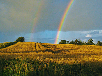 Landscape, Nature, Sky, Rainbow, Field, After The Rain HD wallpaper