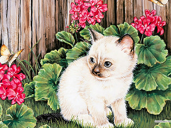 kitten painting, kitten, painting, art, flower, garden, cat HD wallpaper