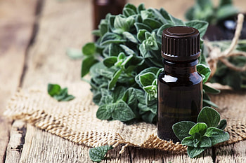 Essential oil, Oregano HD wallpaper