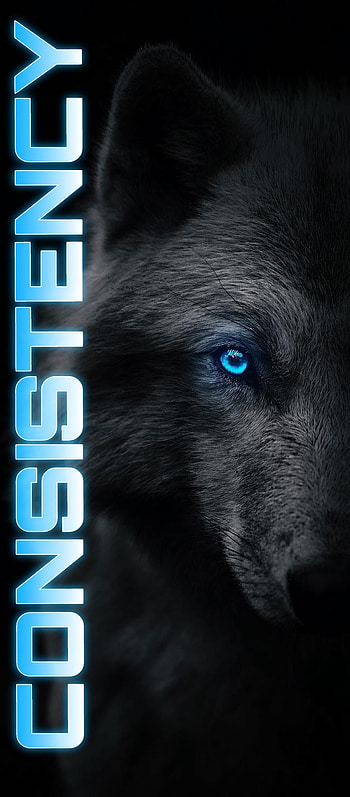 CONSISTENCY, sayings, animal HD phone wallpaper