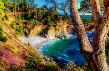 Mcway falls, falls, sea, hills, plants, coast, slope, bay, beautiful, rocks, waterfal, summer, trees, view, nature, flowers HD wallpaper