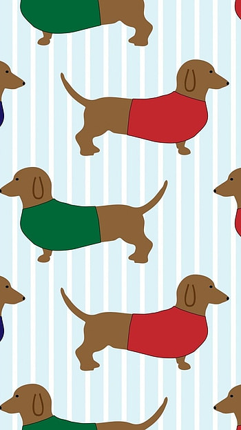 Cartoon Dog, Dachshund Pattern HD phone wallpaper