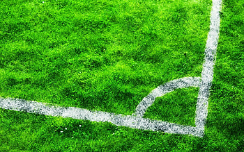 Football Stadium Grass HD wallpaper