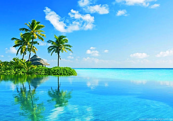 Island resort, Green, Paradise, Palm trees, Pool, Blue HD wallpaper