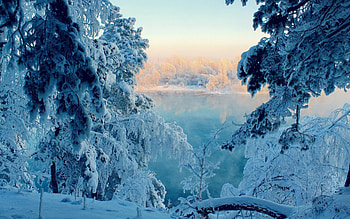 Wintertime, landscape, trees, sunshine, snow HD wallpaper