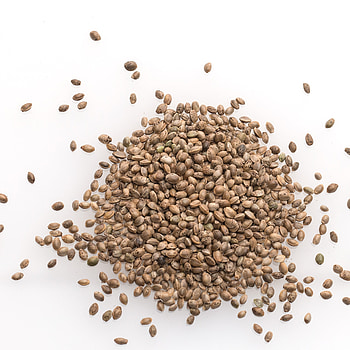 Organic unpeeled hemp seeds, Optimal health benefits, 500g quantity, Hanfliebe brand HD phone wallpaper