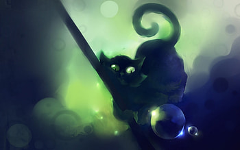 Cats HD wallpaper