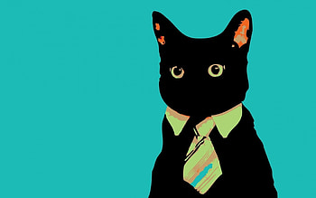 Cats HD wallpaper