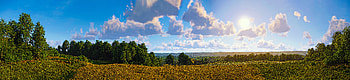 Kingdom Come II - Countryside | KC:D II Vista | Deliverance II Fieldscape, Kingdom Come: Deliverance II HD wallpaper