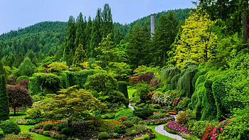 Beautiful Garden, naure, garden, plants, green HD wallpaper