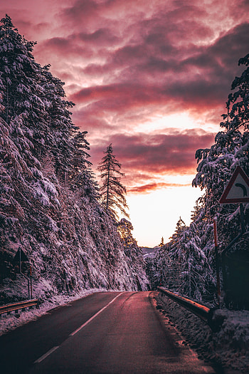 Nature, Trees, Twilight, Snow, Road, Dusk HD phone wallpaper
