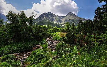 Nature, Stones, Mountains, Vegetation, Jungle HD wallpaper