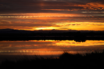 Nature, Rivers, Sunset, Grass, Horizon HD wallpaper
