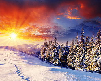 Sunny Winter Day, glare, winter, cold, sunrise, bright, snow, clouds, trees, sky, sun, forest, sunset HD wallpaper