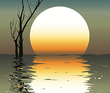 Under a Pale Sun, white, trunk, sky, orange, water, sunset, tree HD wallpaper
