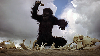 little king kong, monkey, king, monkeys, kong, , odyssey HD wallpaper