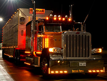 Peterbilt, Vehicles HD wallpaper