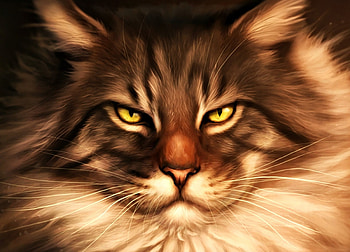Maine Coon, pisica, animal, fantasy, art, lhuin, cat, luminos HD wallpaper