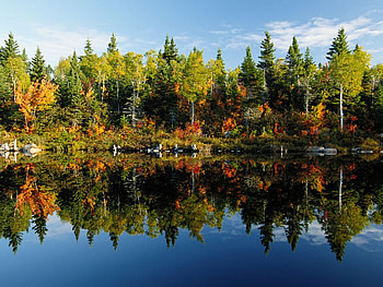Lakeside Reflection, colorful, graphy, beautiful, tree, lake, green, autumn, nature, sky, water HD wallpaper