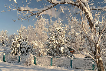 Winter Snow, Fence, Nature, Snow, Trees HD wallpaper