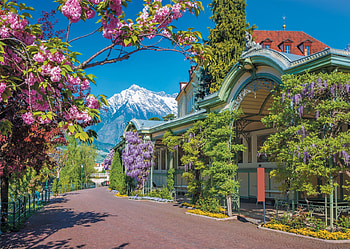 Merano, Italy, flowers, merano, italy, mountain HD wallpaper