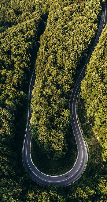 Nature, View From Above, Road, Turn, Forest, Winding, Sinuous HD phone wallpaper
