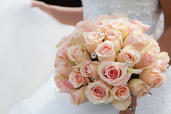 A stunning bridal bouquet of pink roses held by a bride in a wedding dress, symbolizing love. HD wallpaper