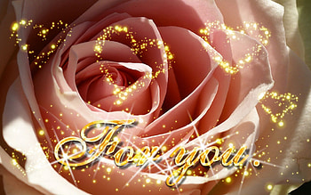 For You..My Friend, rose, friendship, love, beauty HD wallpaper