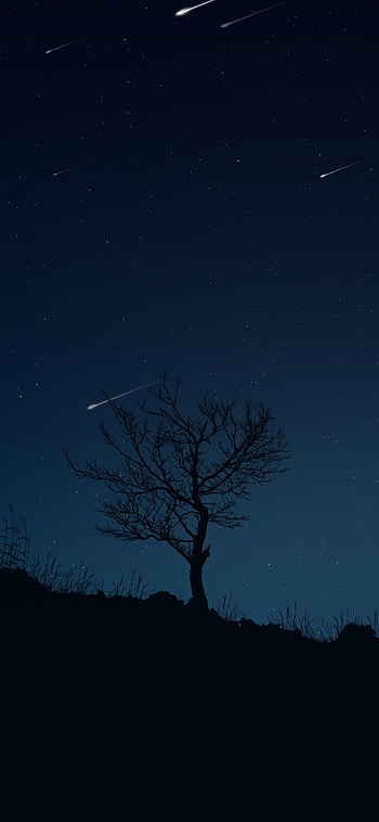 Stary night, sky, moon HD phone wallpaper