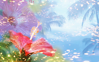 Plants, Flowers HD wallpaper