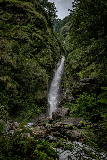 A stunning long exposure shot of a waterfall amidst a rich green jungle, perfect for nature graphy. HD phone wallpaper