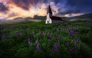 Church in Iceland, sky, flowers, Icelend, church HD wallpaper